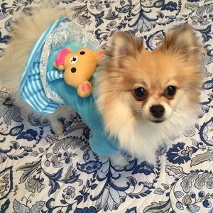 Meet your Posher, Joy